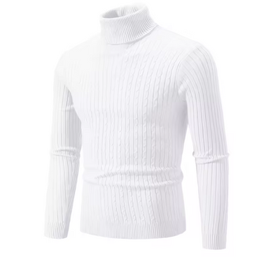 Rollkragenpullover Herren